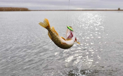 Советская легенда на крючке: названа поразительно эффективная блесна на щуку