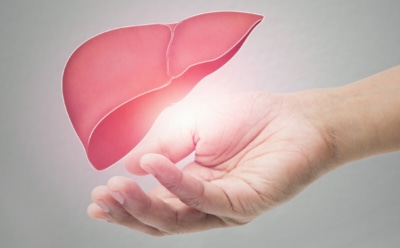 Трезвость как лекарство: гастроэнтеролог объяснила, что помогает печени запустить процесс самовосстановления