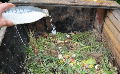 Осенний лайфхак от дачников: эти 2 добавки превращают компостную кучу в фабрику удобрений