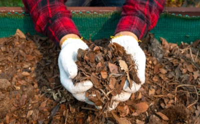 Живая лаборатория под снегом: как подготовить компостную кучу, чтобы микроорганизмы не уснули зимой