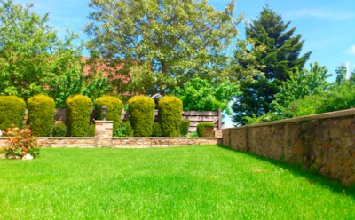 Раскрыт секрет зеленого газона: простое средство заменяет удобрения и помогает траве перезимовать