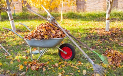 Октябрь заканчивается — работы только прибавляется: без этих шагов огород зиму не переживет