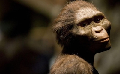 Охотники или жертвы: ученые пересмотрели представления о месте первых людей в пищевой цепи