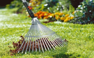 Зима близко: важные осенние работы в саду, которые помогут растениям пережить морозы