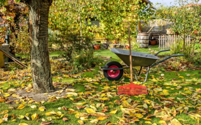 Последние штрихи в уходящем году: что нужно успеть сделать в саду и огороде до промерзания земли