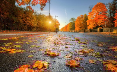 Осень крадет сон: почему в пору листопада хочется спать днем, а ночью не сомкнуть глаз