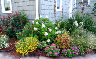 Уют снаружи и внутри: как создать цветник под окном, который впишется в стиль всего участка