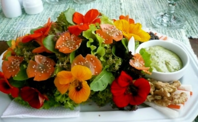 От сада до стола: цветы, которые не только радуют глаз, но и украшают вкус любимых блюд