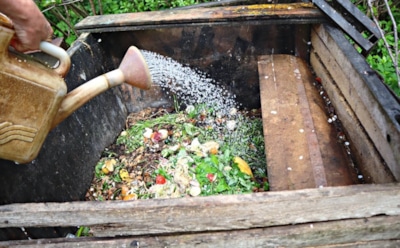Когда бактерии не спят: чем «подкормить» компост осенью, чтобы весной он закипел жизнью