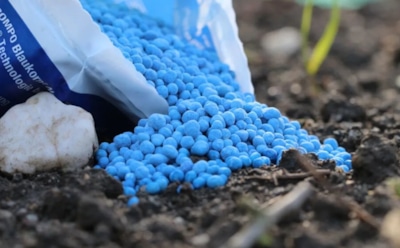 Формула богатого урожая: 5 средств, которые возвращают жизнь огороду