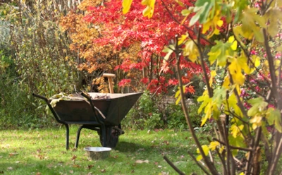 Огород под одеялом: ноябрьские хитрости, которые помогут пережить зиму без потерь