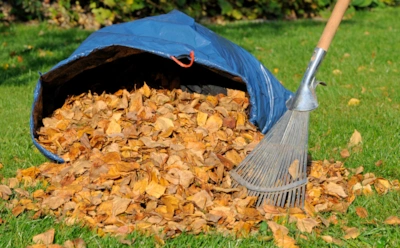 Не мусор — а сплошная выгода: что сделать с осенним опадом, чтобы сад только выиграл