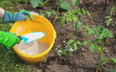 Экономия со знаком риска: старые удобрения могут принести вред вместо пользы