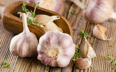 5 секретов хранения чеснока: проверенные народные методы против гнили и прорастания