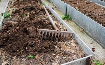 Осень зовет в огород: как правильно омолодить грядки с многолетниками, чтобы весной не остаться без урожая