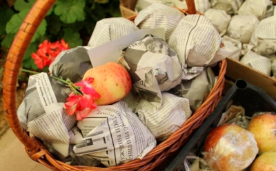 Яблоки доживут до лета: старинный способ хранения, о котором забыли садоводы