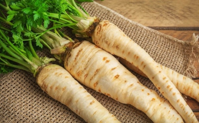 Когда польза оборачивается болью: чем опасен пастернак и как избежать проблем