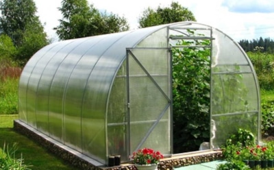 Секрет чистой теплицы без химии: чем пролить почву осенью, чтобы весной не воевать с грибками