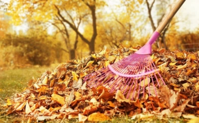 Листья, что кормят землю: как за зиму сделать из опада рыхлый и полезный компост