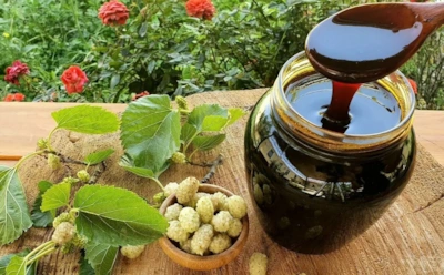 Вкус, который не тускнеет: шелковица с сахаром без варки — натуральное лакомство на зиму