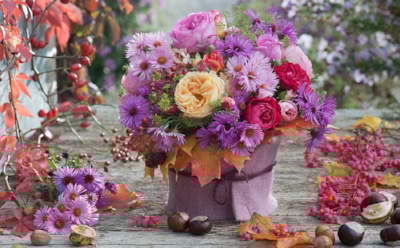 Красота, от которой чешется кожа: какие популярные цветы могут вызвать аллергию и раздражение