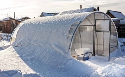 Не прячьте теплицу от холода: мороз работает лучше любого удобрения