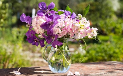 Эти букеты быстро не завянут: садоводы назвали цветы, способные неделями стоять в вазе