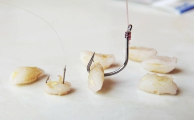 Рыба не устоит: секрет приготовления перловки, на которую клюют даже самые осторожные караси