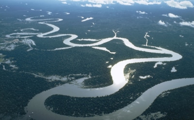Амазонские глубины перестали быть безопасными: тревожная трансформация вод вызывает шок у специалистов