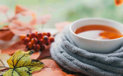 Горячий чай обманывает наше самочувствие: врач назвала напитки, которые работают против простуды по-настоящему