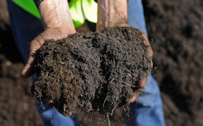 Когда холод только помогает делу: распылите эту смесь по мерзлой земле, и весной она взорвется жизнью