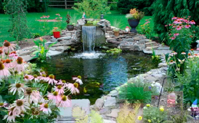 Пруд может преобразить участок: как избежать ошибок при его создании