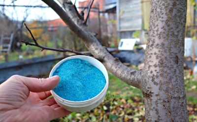 Железный купорос теряет силу быстрее, чем нужно: простой стабилизатор спасет раствор от окисления