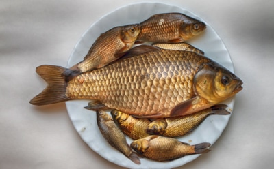 Магазинам и не снилось: крутые домашние консервы из карася станут главным украшением зимы