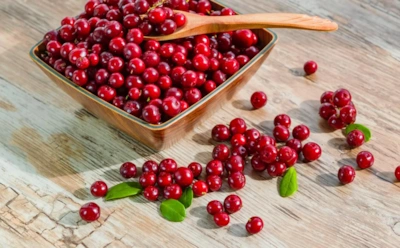 В маленькой ягоде скрыта большая польза: врач рассказал, почему брусника особенно важна для мужского здоровья