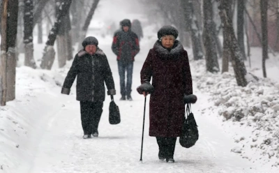 Мощный снегопад накрыл Питер и наступает на Москву 15 ноября: что делать