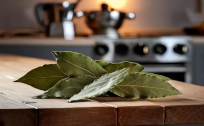 Эта специя скрывает больше, чем просто аромат: оригинальные лайфхаки по применению лаврового листа