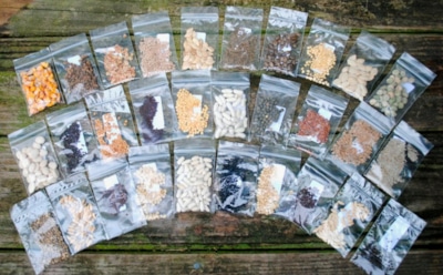 Одна ошибка — и семена становятся пустышками: какие упаковки действительно сохранят их живыми до весны