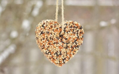 Зимняя забота может быть простой, но сердечной: какие кормушки для птиц легко сделать с детьми даже из бросовых материалов