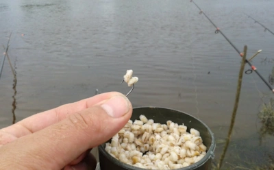 Даже хитрая рыба теряет осторожность: этот простой рецепт делает карася покладистым и голодным — только успевай подсекать