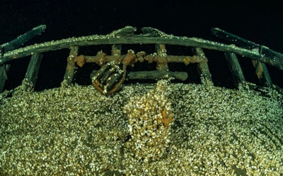 Аномалия раскрылась внезапно: на дне озера Онтарио нашли идеально сохранившийся корабль XIX века