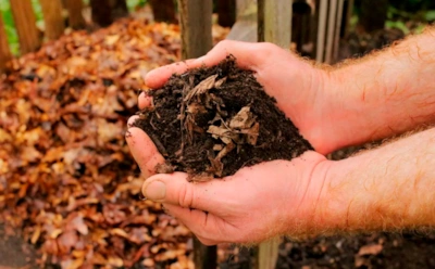 Компост можно «разбудить» даже зимой: дрожжевой коктейль заставляет кучу работать без остановки