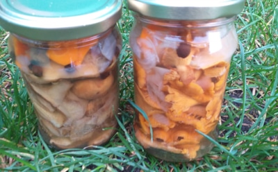 Полчаса работы — и в холода пахнет лесом: грибной суп в виде заготовки — радость на всю зиму