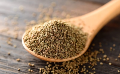 Осенние скидки — ловушка для дачников: старые семена лишат всходов быстрее, чем успеете вскопать грядку