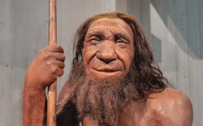 Громкая тайна эволюции раскрыта: исчезновение неандертальцев оказалось медленным поглощением