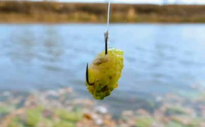 Советская хитрость для улова: такую прикормку рыба не пропускает даже в холода