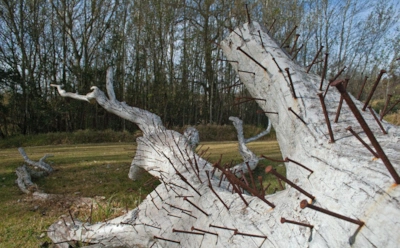 Садовые мифы, которые вредят: ржавые гвозди под деревьями не лечат хлороз и лишь засоряют участок