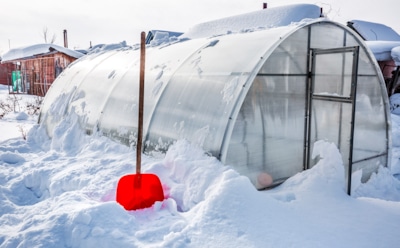 Как пережить самую суровую зиму без потерь: хитрые приемы помогут теплице выстоять до весны в идеальном виде