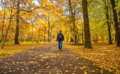 Даже пасмурная погода работает на здоровье: кардиолог объяснил, почему осенние прогулки необходимы каждому