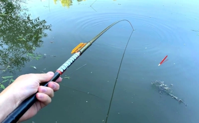 Ноябрьский карп не прощает грубых ошибок: тонкие снасти и хитрая прикормка становятся главным оружием рыболова